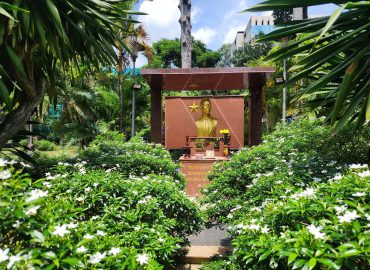 BỆNH VIỆN PHẠM NGỌC THẠCH: TỰ HÀO MỘT LỊCH SỬ